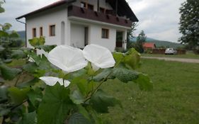 Guesthouse Matija